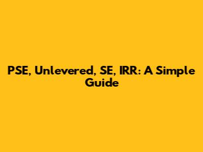 PSE, Unlevered, SE, IRR: A Simple Guide
