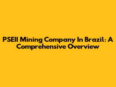 PSEII Mining Company In Brazil: A Comprehensive Overview