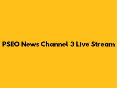 PSEO News Channel 3 Live Stream
