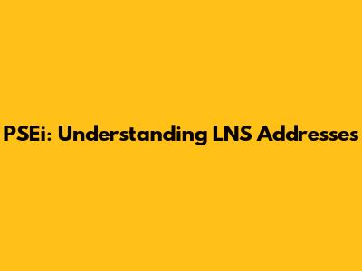 PSEi: Understanding LNS Addresses