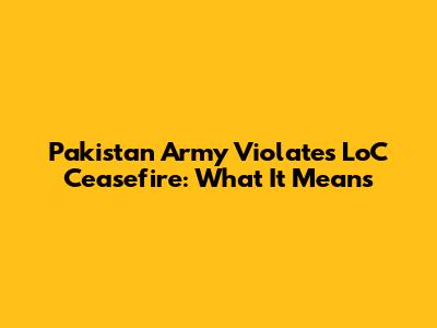 Pakistan Army Violates LoC Ceasefire: What It Means