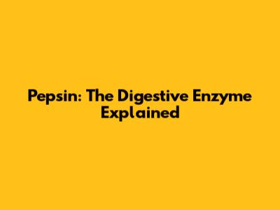 Pepsin: The Digestive Enzyme Explained