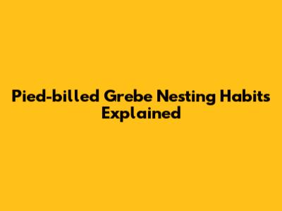 Pied-billed Grebe Nesting Habits Explained