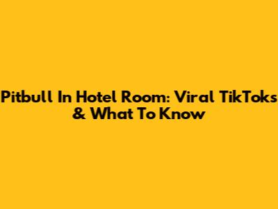 Pitbull In Hotel Room: Viral TikToks & What To Know