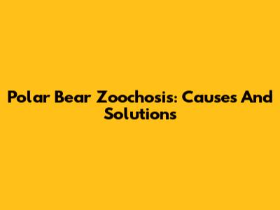 Polar Bear Zoochosis: Causes And Solutions