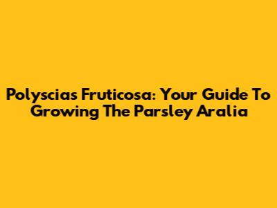 Polyscias Fruticosa: Your Guide To Growing The Parsley Aralia