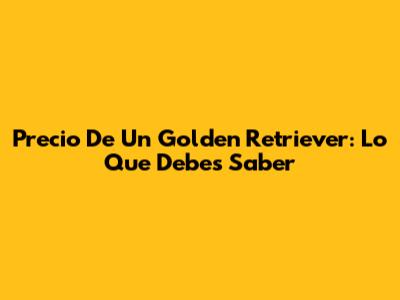 Precio De Un Golden Retriever: Lo Que Debes Saber