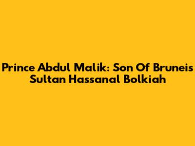Prince Abdul Malik: Son Of Brunei's Sultan Hassanal Bolkiah