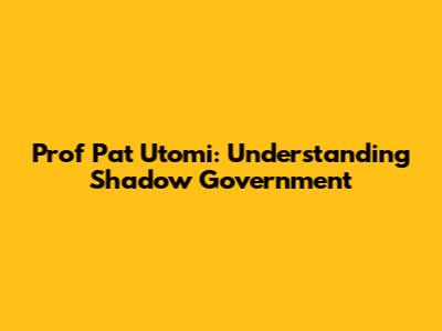 Prof Pat Utomi: Understanding Shadow Government