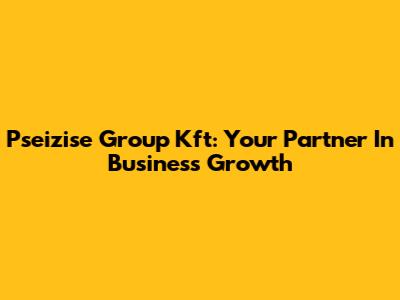 Pseizise Group Kft: Your Partner In Business Growth