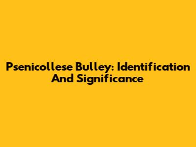 Psenicollese Bulley: Identification And Significance