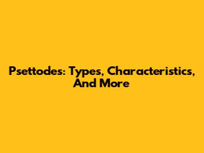Psettodes: Types, Characteristics, And More