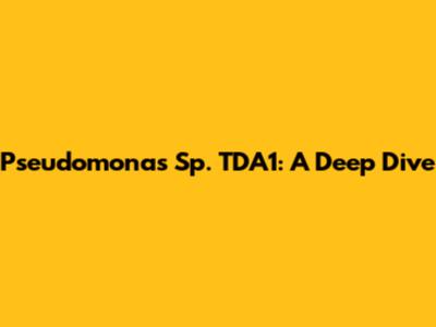Pseudomonas Sp. TDA1: A Deep Dive