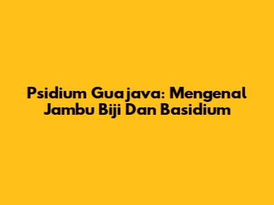 Psidium Guajava: Mengenal Jambu Biji Dan Basidium