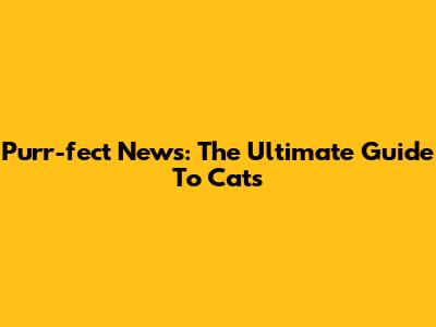 Purr-fect News: The Ultimate Guide To Cats