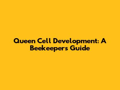 Queen Cell Development: A Beekeeper's Guide