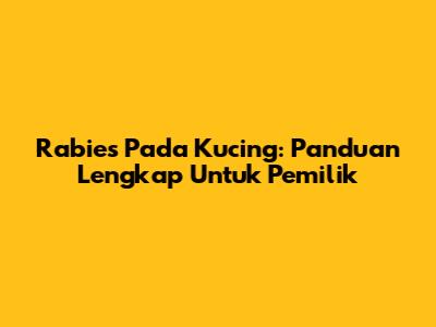 Rabies Pada Kucing: Panduan Lengkap Untuk Pemilik
