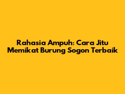 Rahasia Ampuh: Cara Jitu Memikat Burung Sogon Terbaik