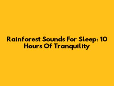 Rainforest Sounds For Sleep: 10 Hours Of Tranquility