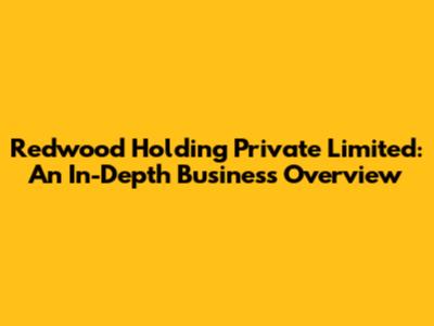 Redwood Holding Private Limited: An In-Depth Business Overview