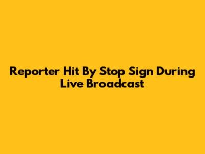 Reporter Hit By Stop Sign During Live Broadcast