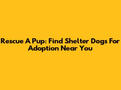 Rescue A Pup: Find Shelter Dogs For Adoption Near You