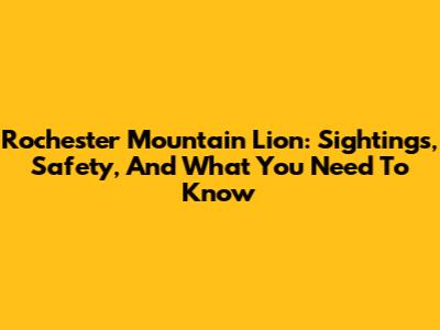 Rochester Mountain Lion: Sightings, Safety, And What You Need To Know