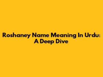 Roshaney Name Meaning In Urdu: A Deep Dive