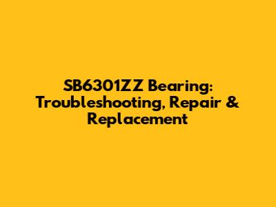 SB6301ZZ Bearing: Troubleshooting, Repair & Replacement