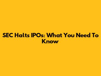 SEC Halts IPOs: What You Need To Know