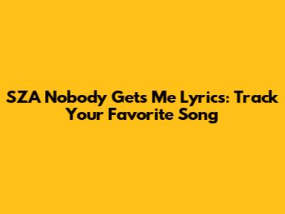 SZA Nobody Gets Me Lyrics: Track Your Favorite Song