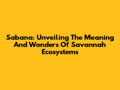 Sabana: Unveiling The Meaning And Wonders Of Savannah Ecosystems