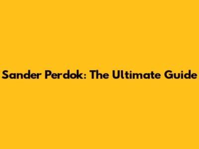 Sander Perdok: The Ultimate Guide