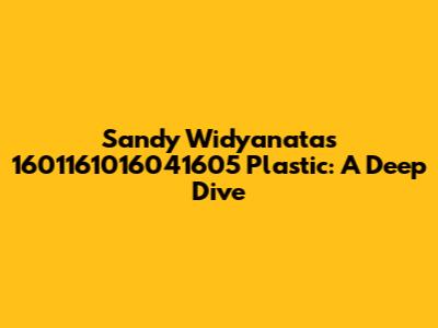 Sandy Widyanata's 1601161016041605 Plastic: A Deep Dive