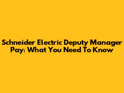 Schneider Electric Deputy Manager Pay: What You Need To Know