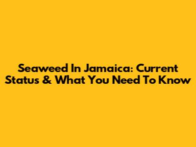 Seaweed In Jamaica: Current Status & What You Need To Know