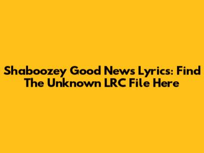 Shaboozey Good News Lyrics: Find The Unknown LRC File Here