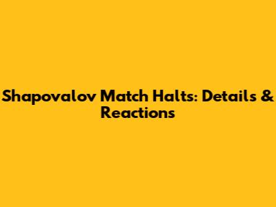 Shapovalov Match Halts: Details & Reactions