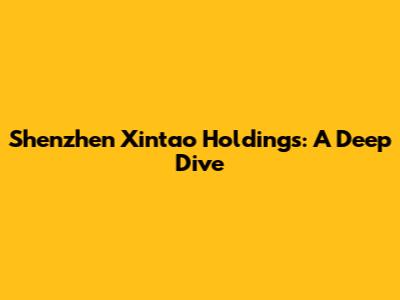 Shenzhen Xintao Holdings: A Deep Dive