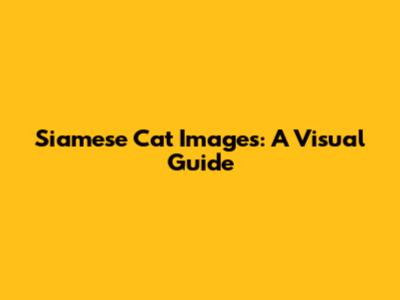 Siamese Cat Images: A Visual Guide