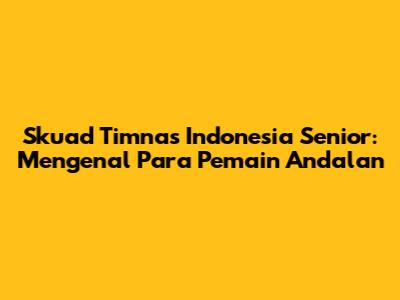 Skuad Timnas Indonesia Senior: Mengenal Para Pemain Andalan