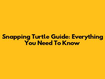 Snapping Turtle Guide: Everything You Need To Know