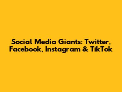 Social Media Giants: Twitter, Facebook, Instagram & TikTok