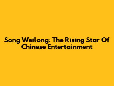 Song Weilong: The Rising Star Of Chinese Entertainment