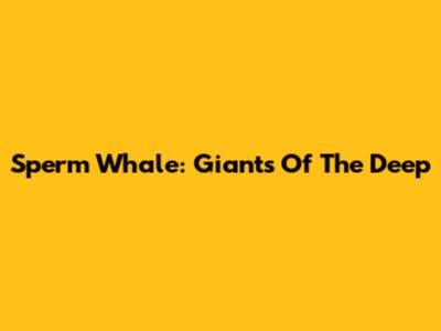 Sperm Whale: Giants Of The Deep