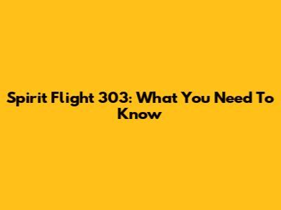 Spirit Flight 303: What You Need To Know