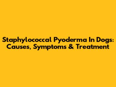 Staphylococcal Pyoderma In Dogs: Causes, Symptoms & Treatment