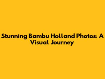 Stunning Bambu Holland Photos: A Visual Journey