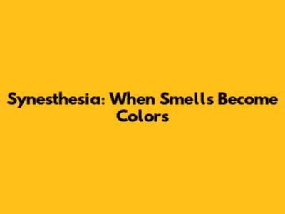 Synesthesia: When Smells Become Colors