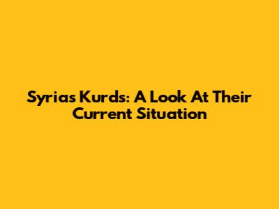 Syria's Kurds: A Look At Their Current Situation